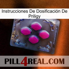 Instrucciones De Dosificación De Priligy 02